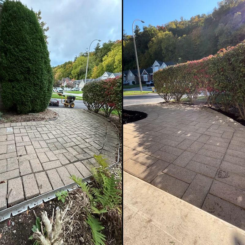 Before & After