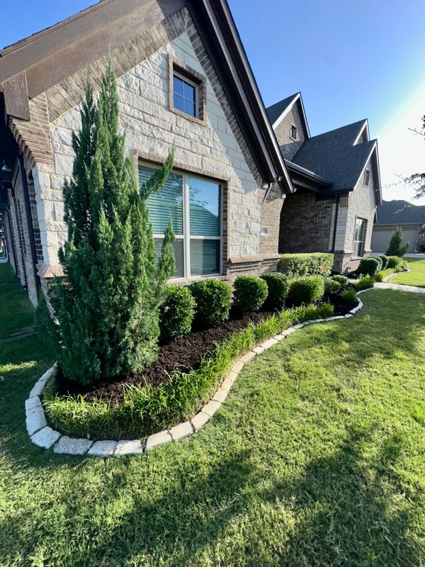 Landscape Design and Installation