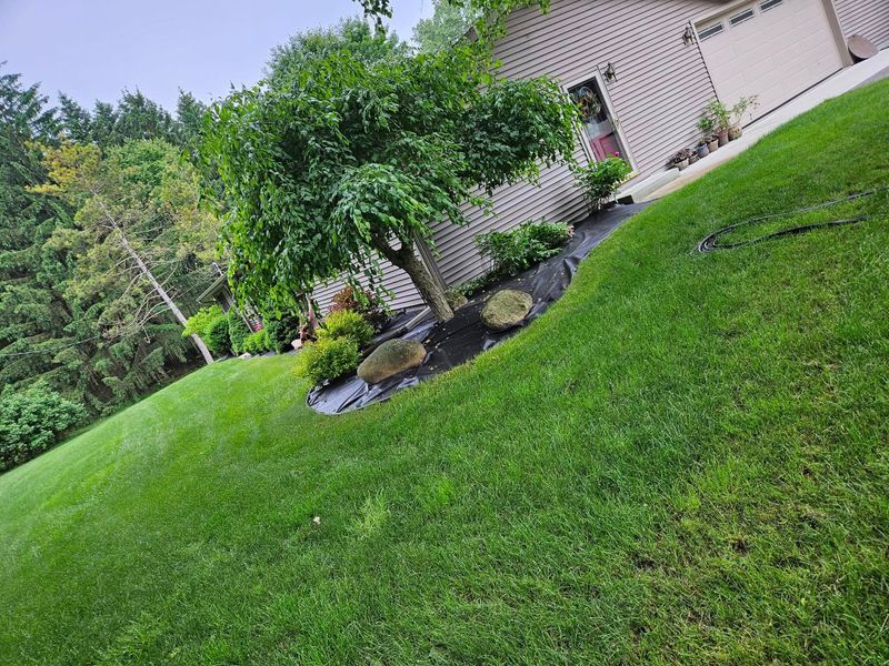 Mowing