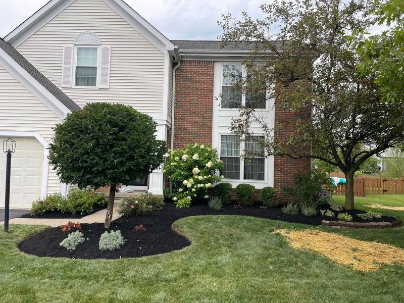 Shrub Trimming
