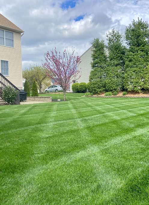 Lawn Care & Maintenance