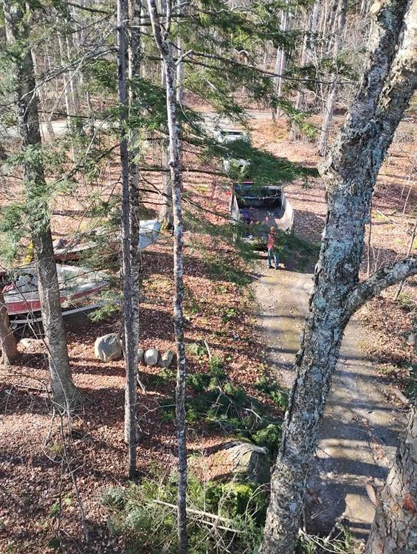 Tree Removal gallery