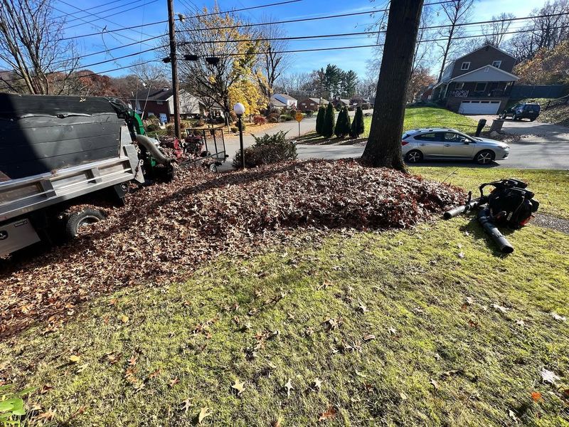 Fall and Spring Clean Up