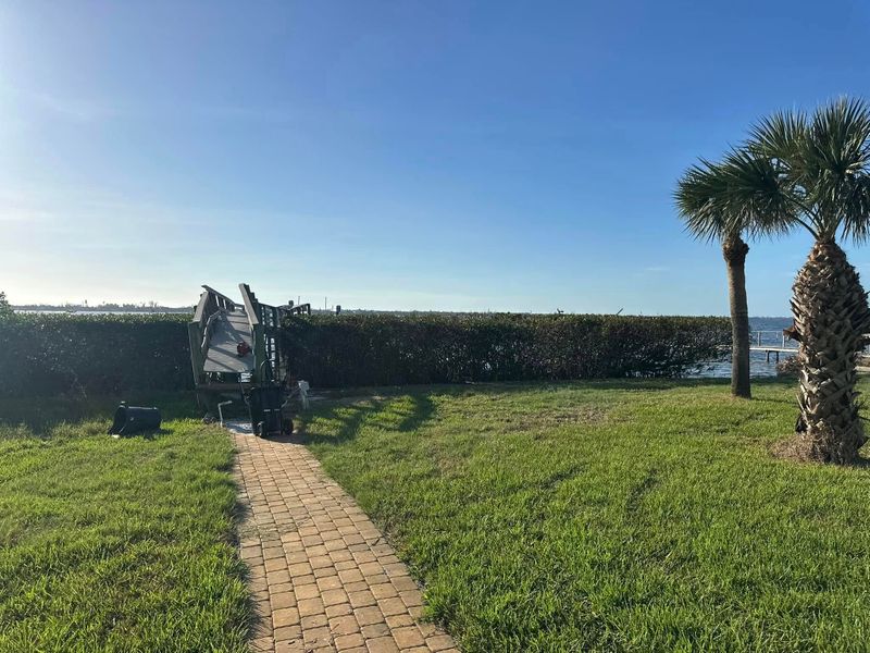 Tree Removal gallery