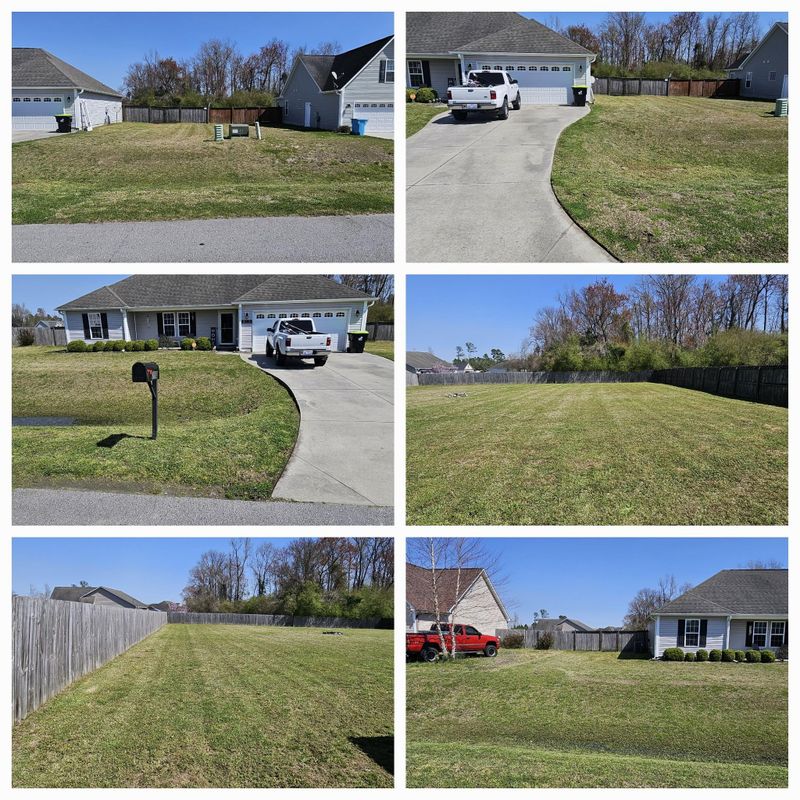 Hedge Work