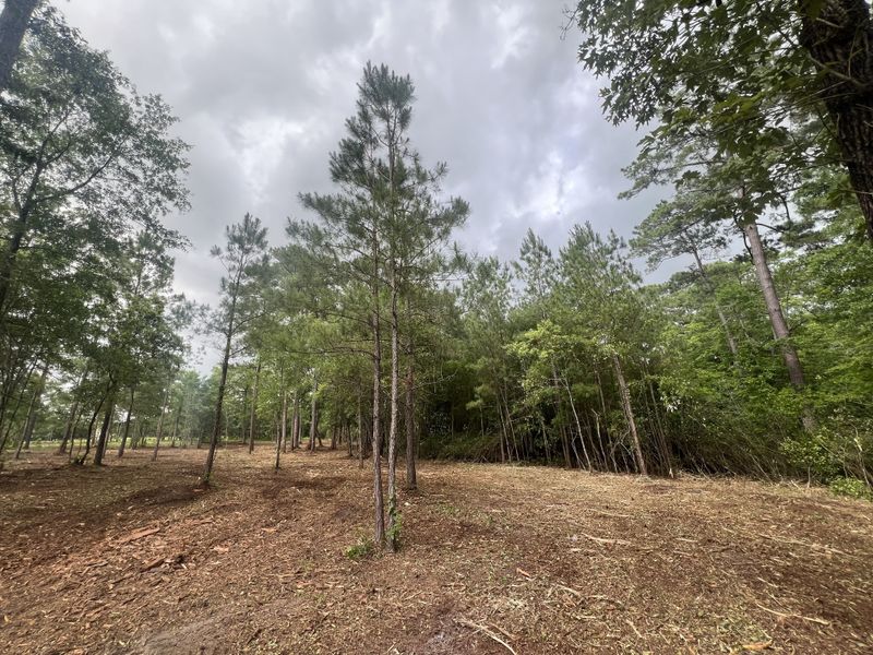 Forestry Mulching