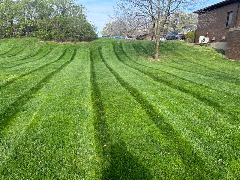 Commercial Lawn Care & Landscaping
