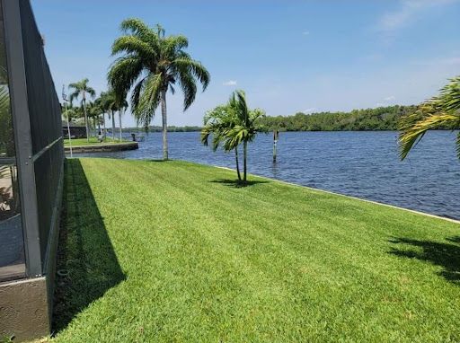 Lawn Care