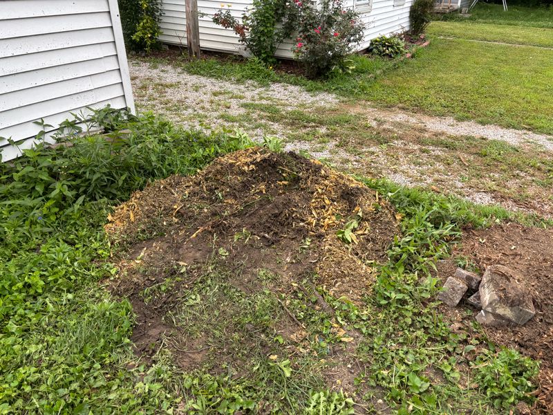 Stump Removal
