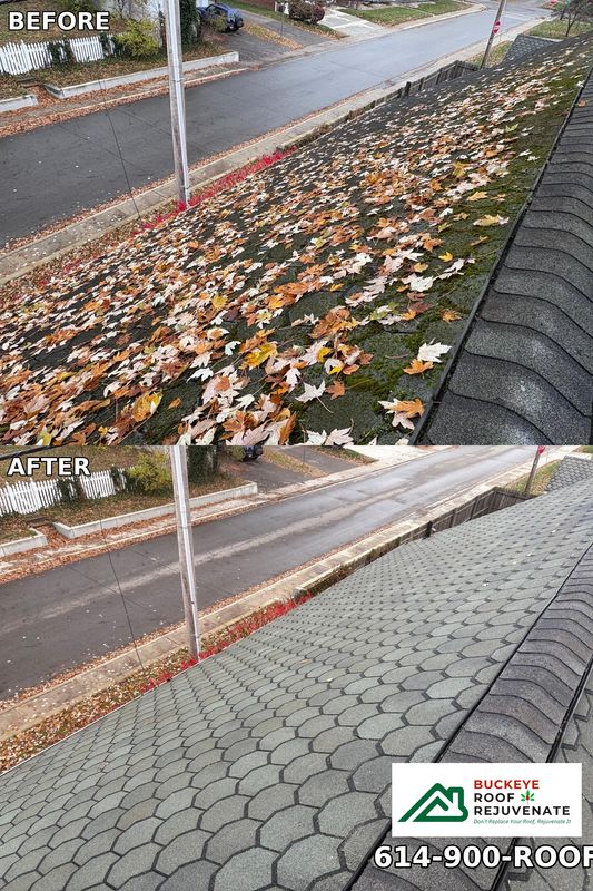 Roof Cleaning