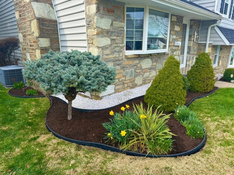 Landscape Design