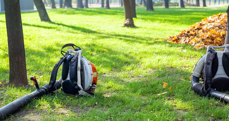 Lawn Maintenance