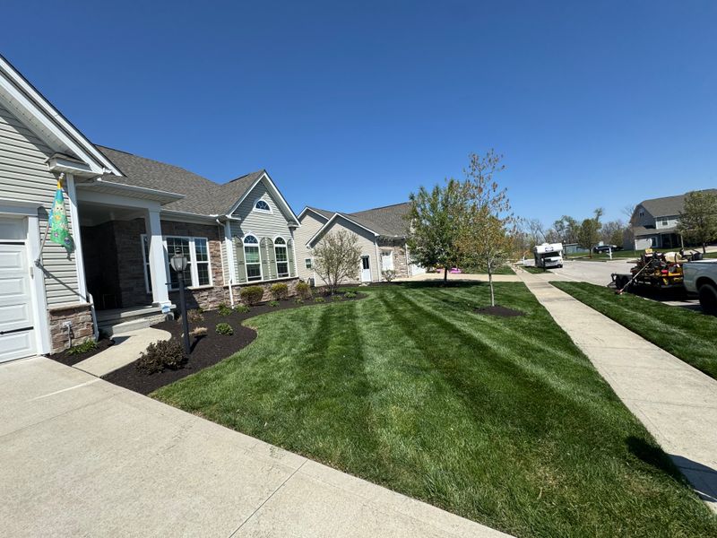 Mulch Installation