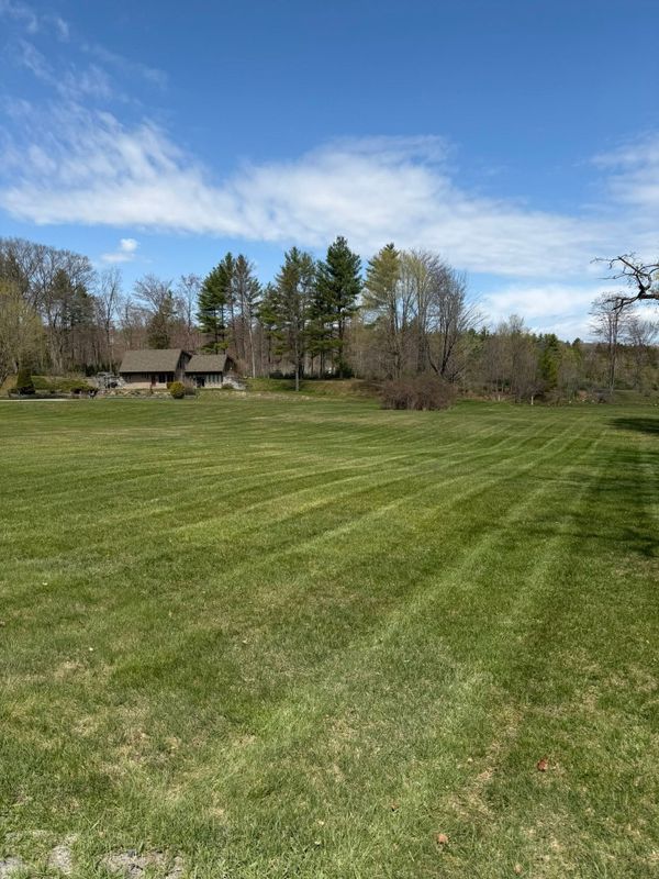 Lawn Maintenance