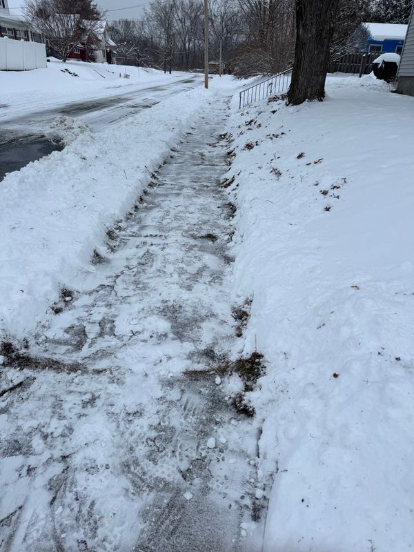 Seasonal Clean-up Services