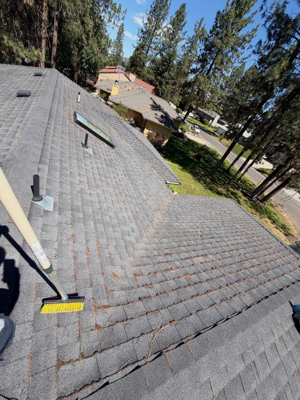Roof Cleaning