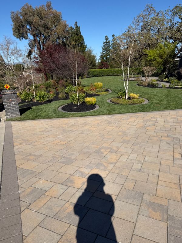 Landscaping