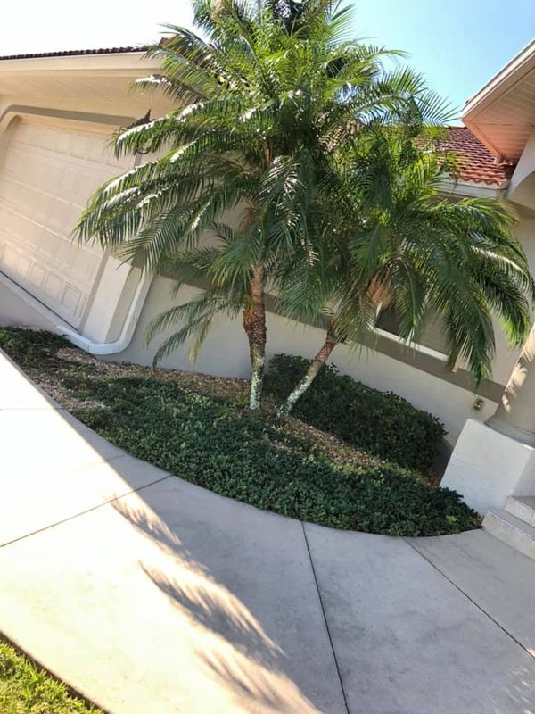 Landscaping