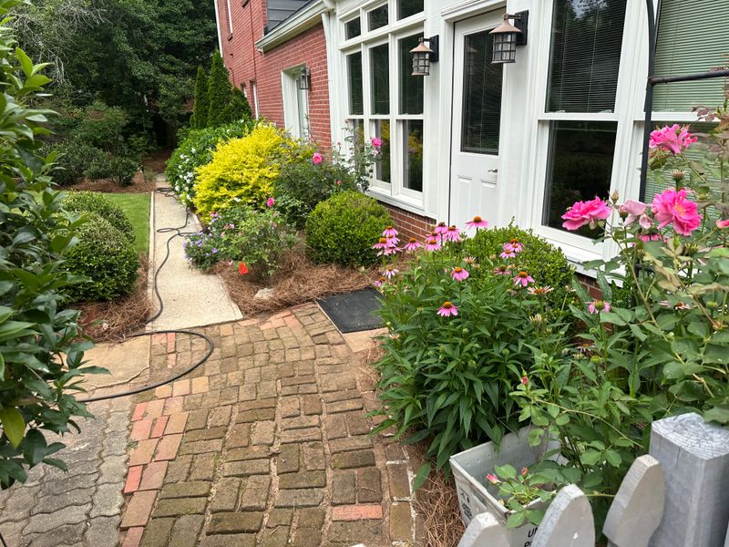 Patios & Hardscapes