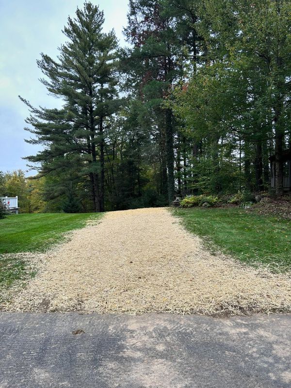 Hardscaping and Landscape Construction