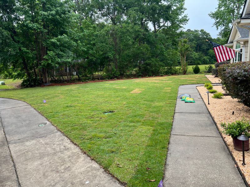 Sod Installation
