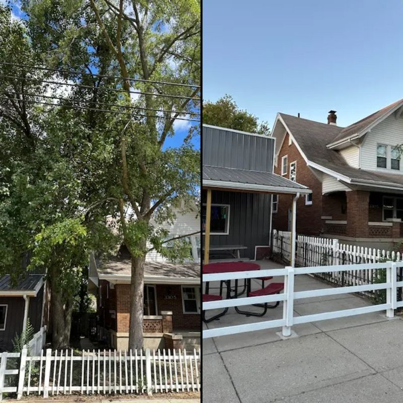 Tree Removal gallery