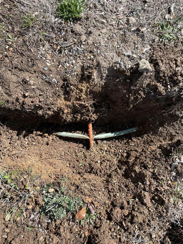 Irrigation Repairs