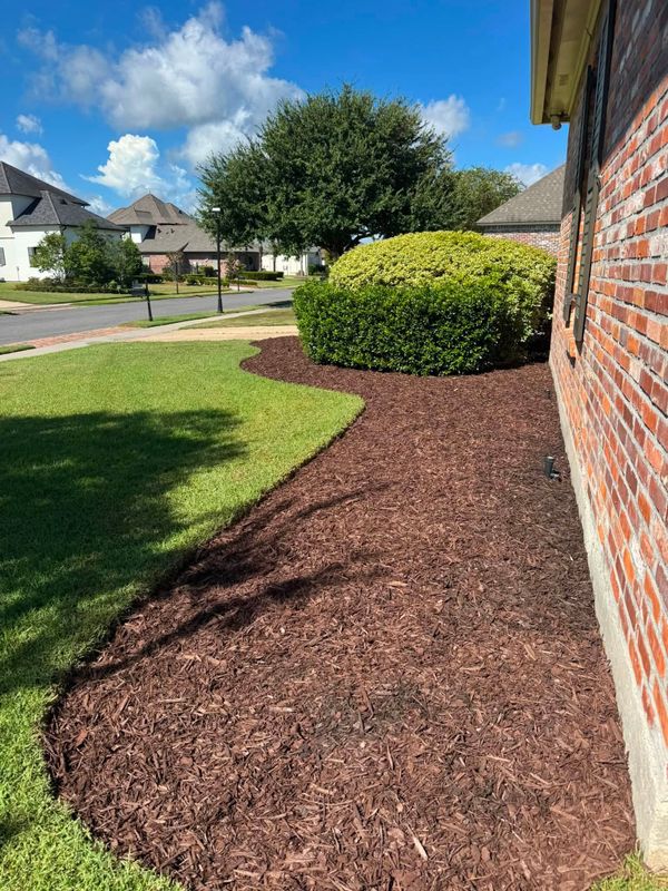 Landscape Design & Installation