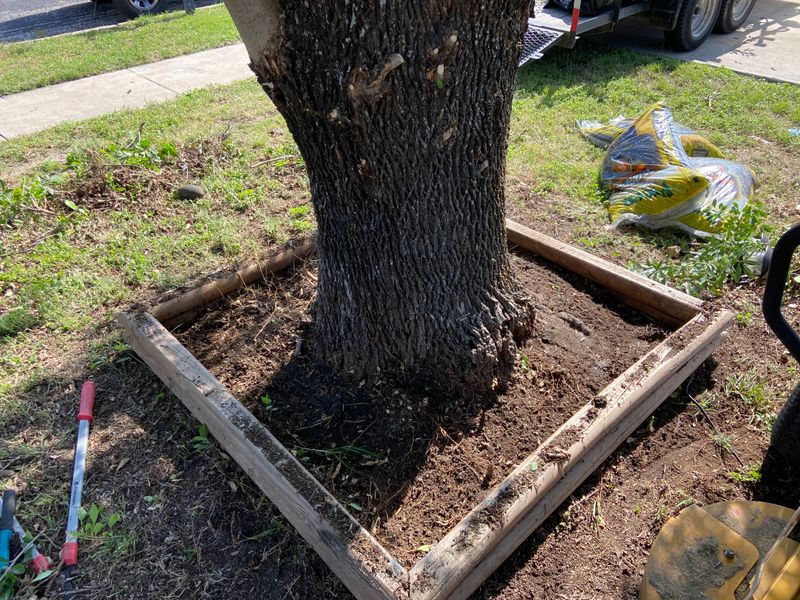 Mulch beds