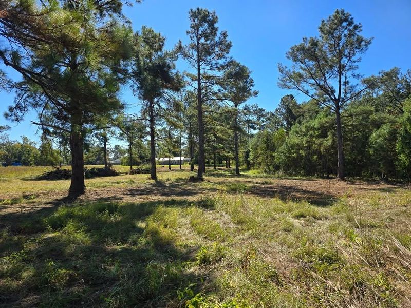 Land Clearing