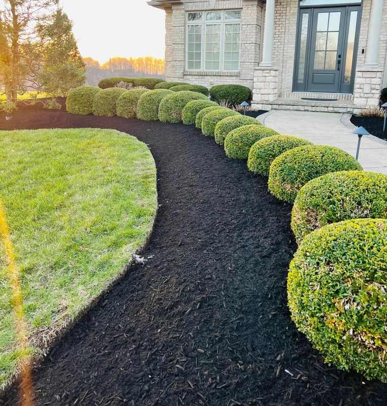 Shrub Trimming