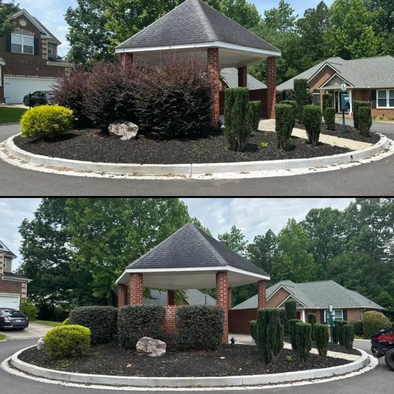 Landscaping
