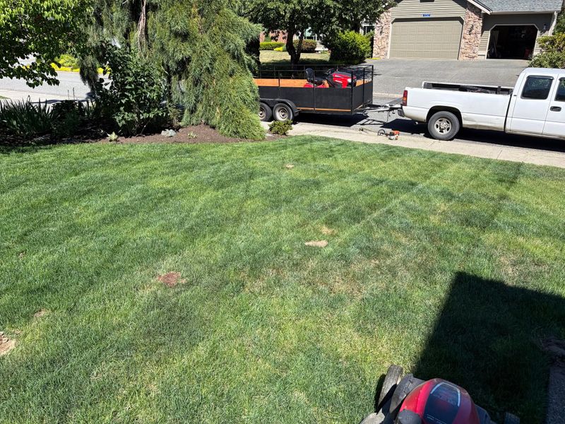 Fall and Spring Clean Up