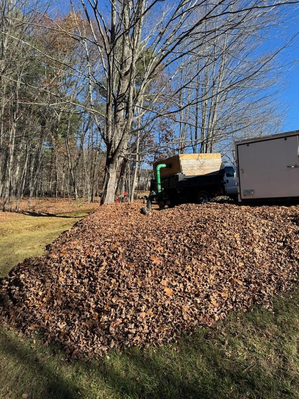 Fall and Spring Clean Up