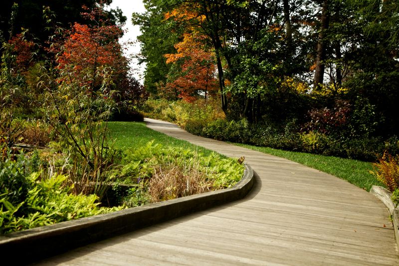 Hardscape Installation