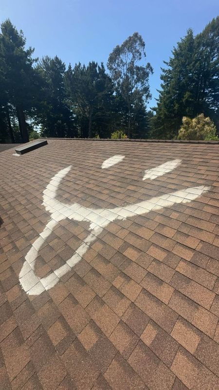 Roof Cleaning