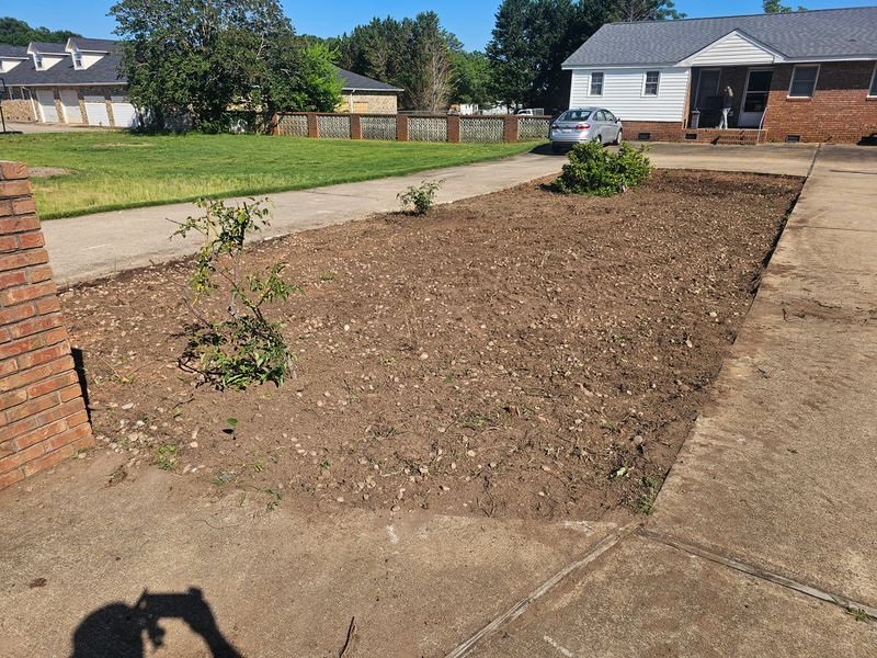 Debris Removal