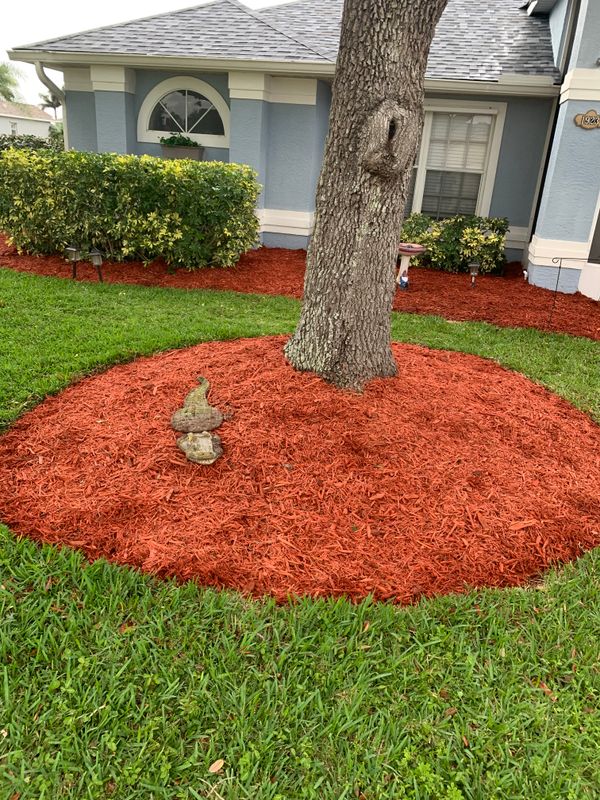 Tree Trimming