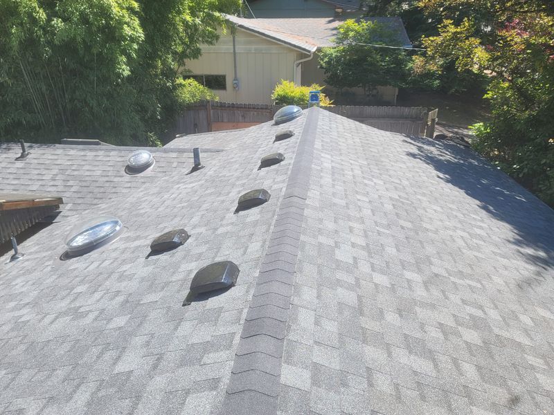 Roofing Repairs
