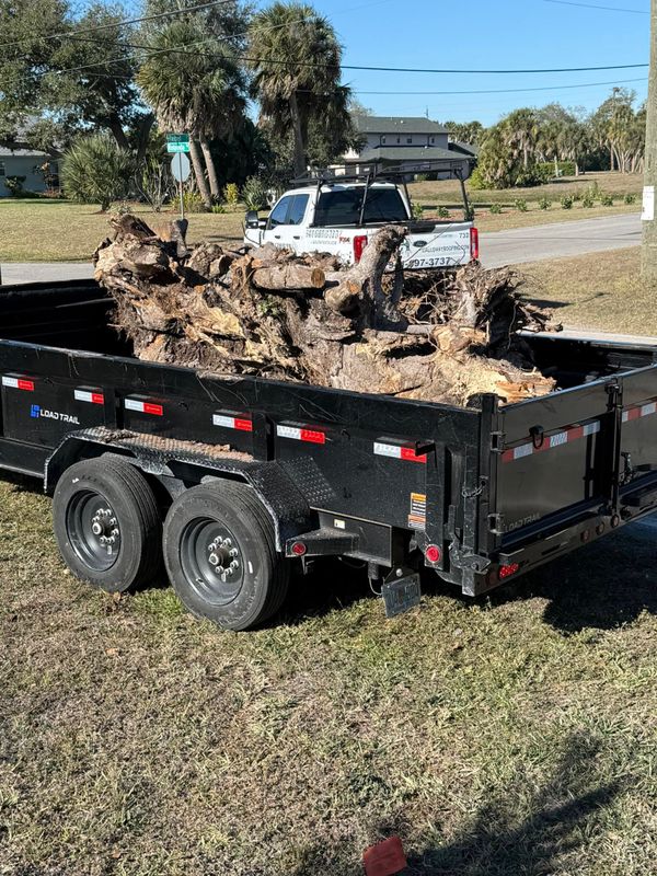Stump Grinding