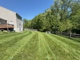 Lawn Maintenance
