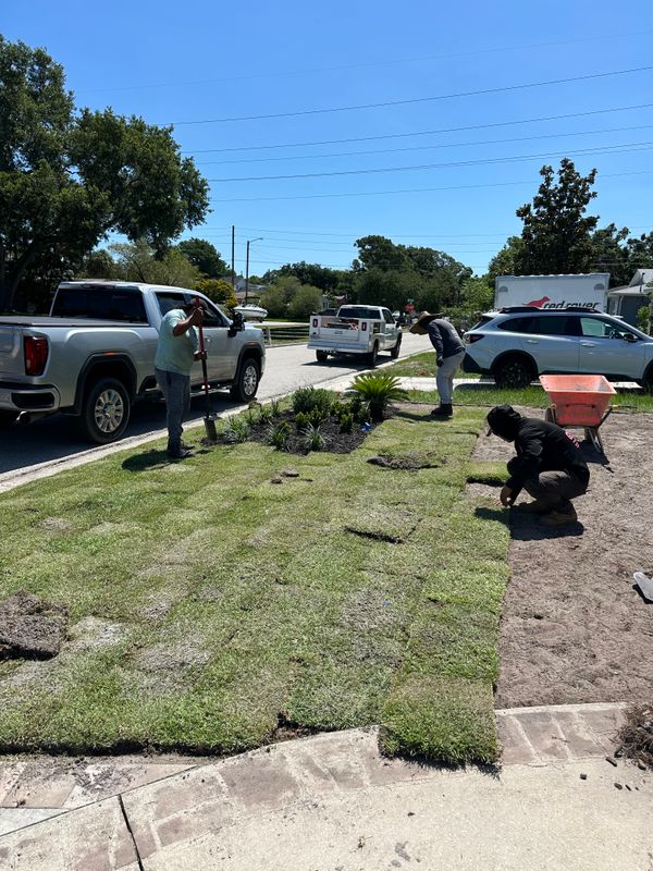 Sod/Artificial Turf