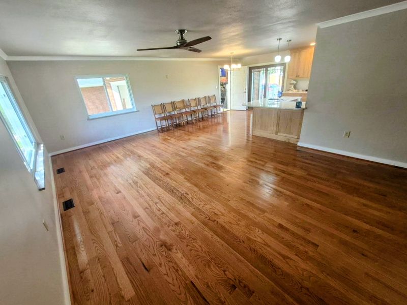 Open Concept Kitchen and Living Room