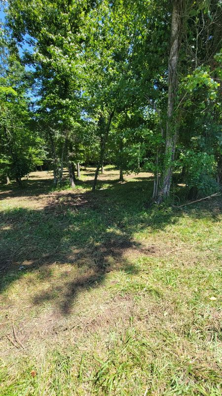 Land Clearing