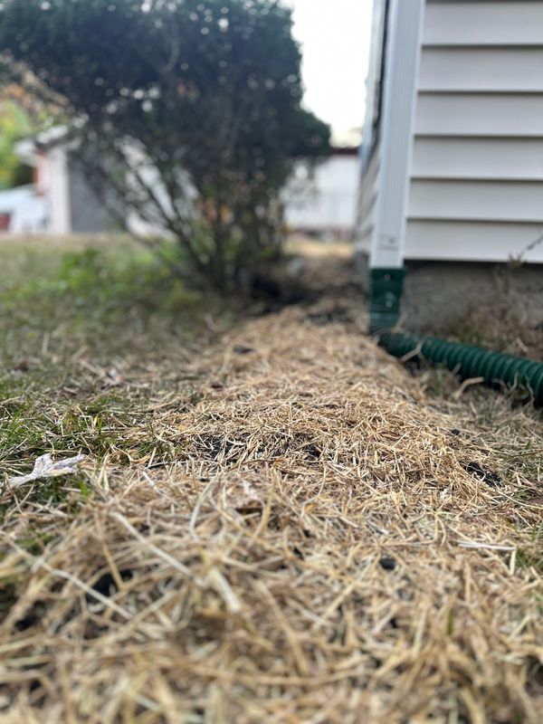 Crawlspace Encapsulation