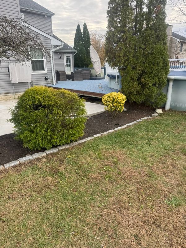 Bush Trimming