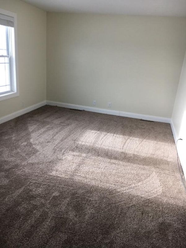 Carpet Cleaning