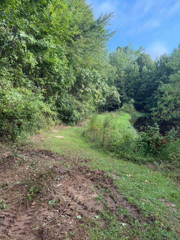 Land Clearing gallery