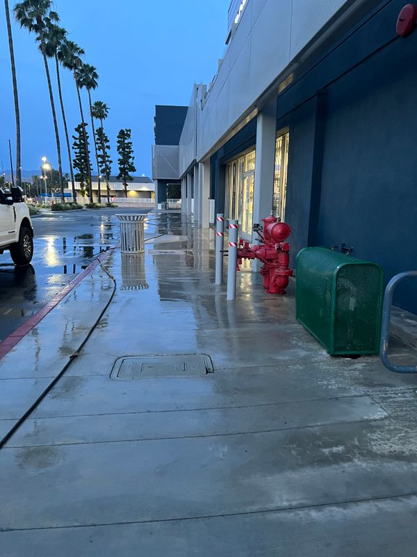 Driveway and Sidewalk Cleaning