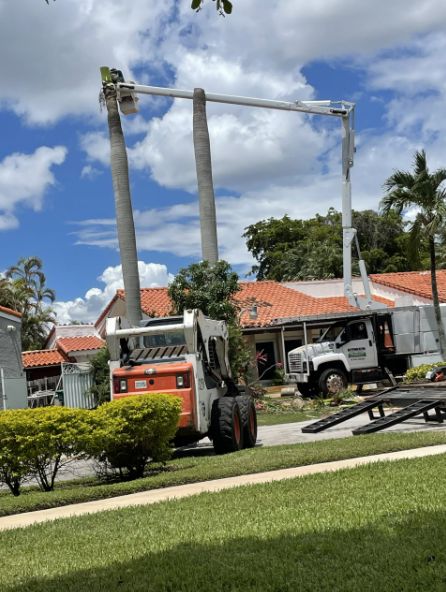 Tree Trimming